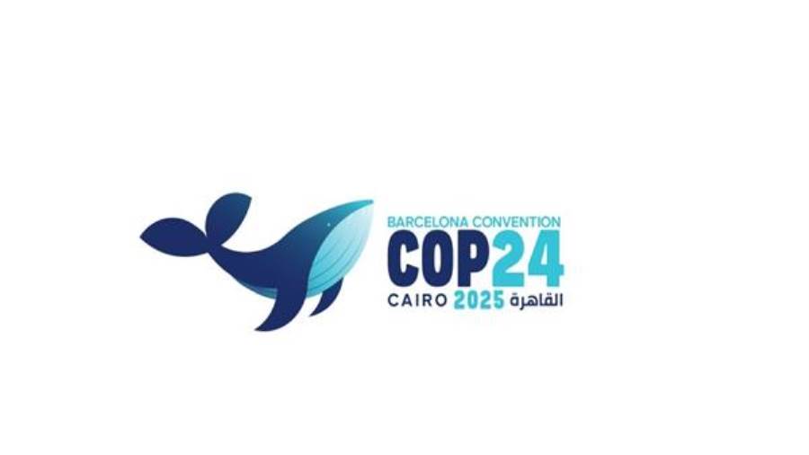 استضافة مصر COP24