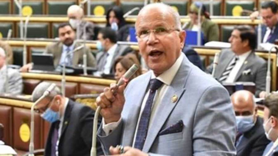 النائب سيد شمس الدين