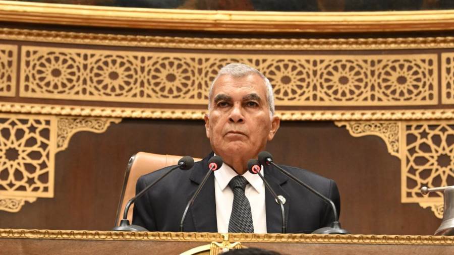 المستشار عصام فريد