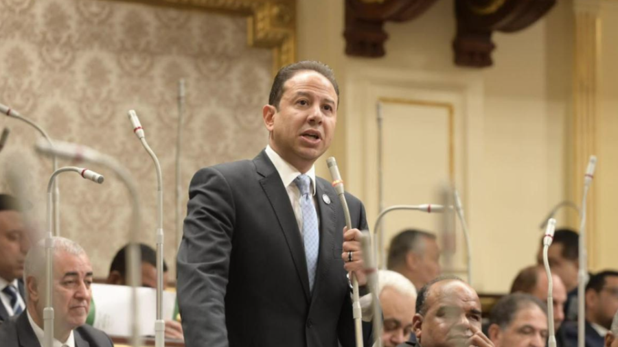 النائب حسن عمار