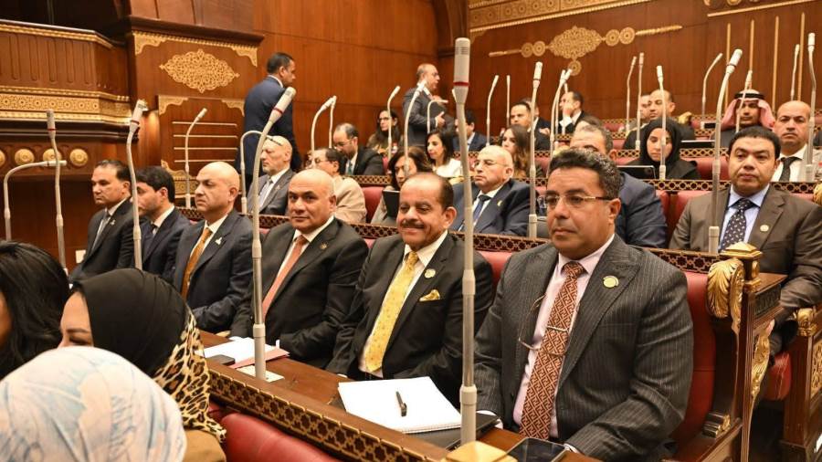 المهندس باسل عادل عضو مجلس الشيوخ