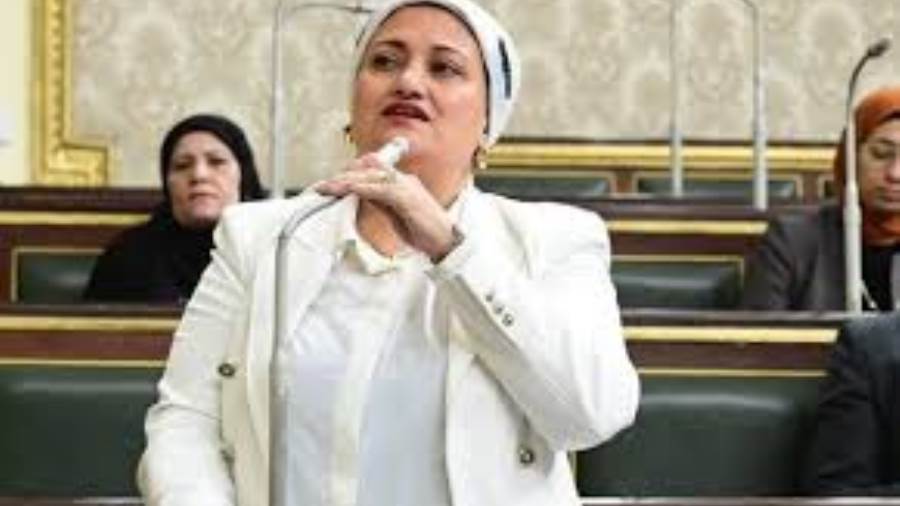 النائبة سناء السعيد