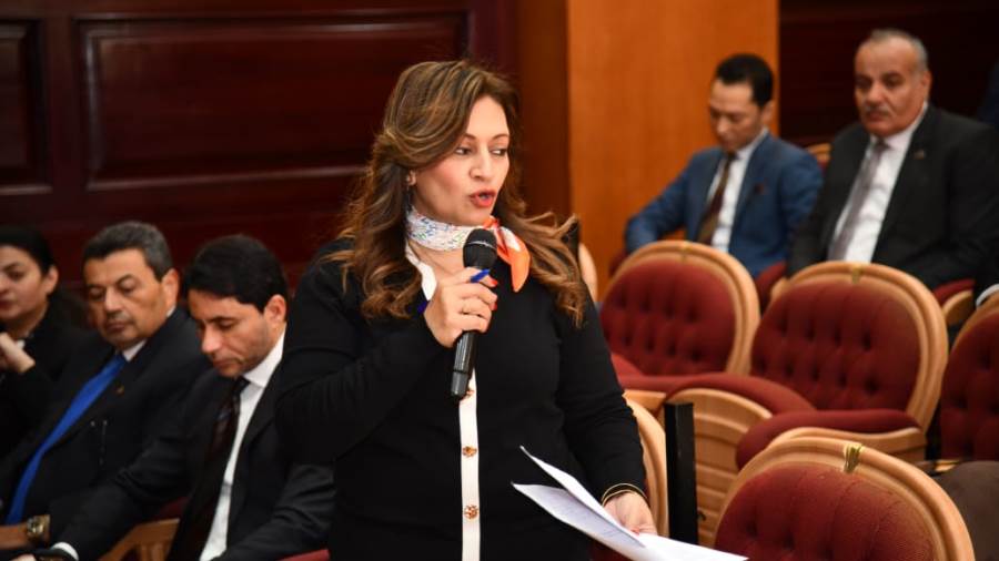 النائبة الدكتورة نيفين فارس فايق