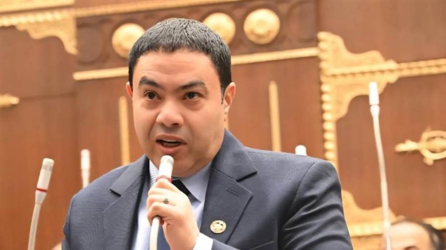 النائب اسماعيل الشرقاوي