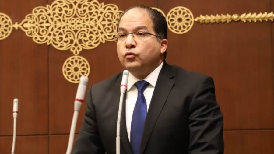 النائب عادل اللمعي