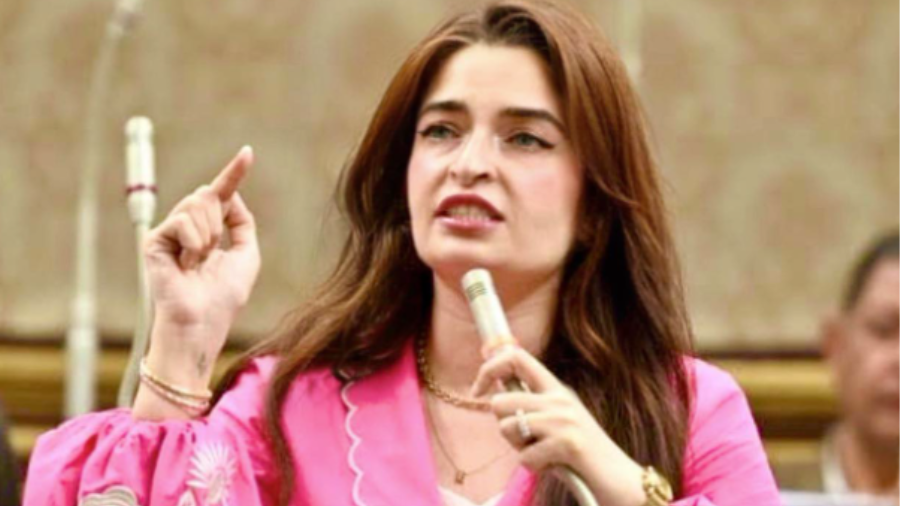 النائبة إيرين سعيد