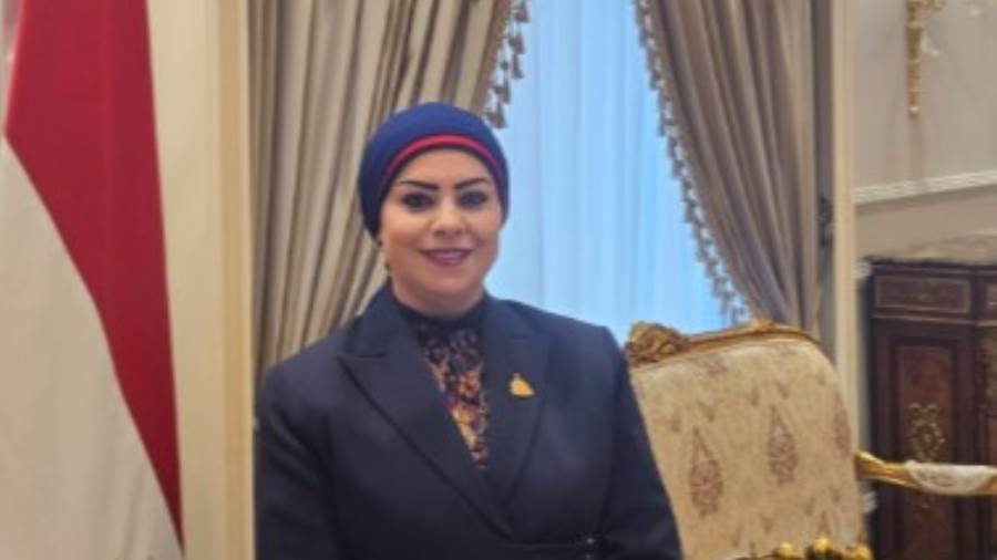 النائبة جيهان شاهين