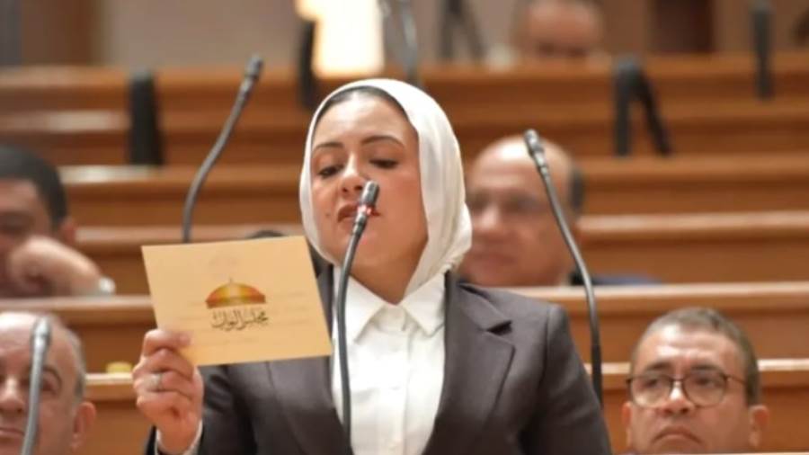 النائبة ريهام عبدالنبي