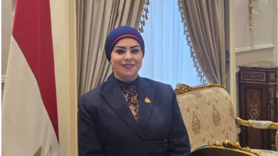 النائبة جيهان شاهين