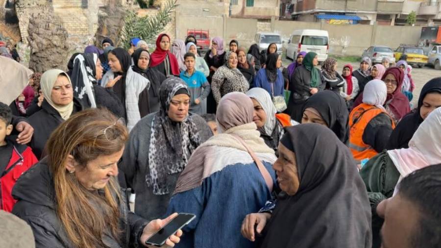 النائبة شيرين عليش