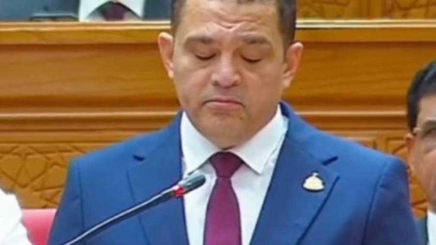 النائب أمير الجزار