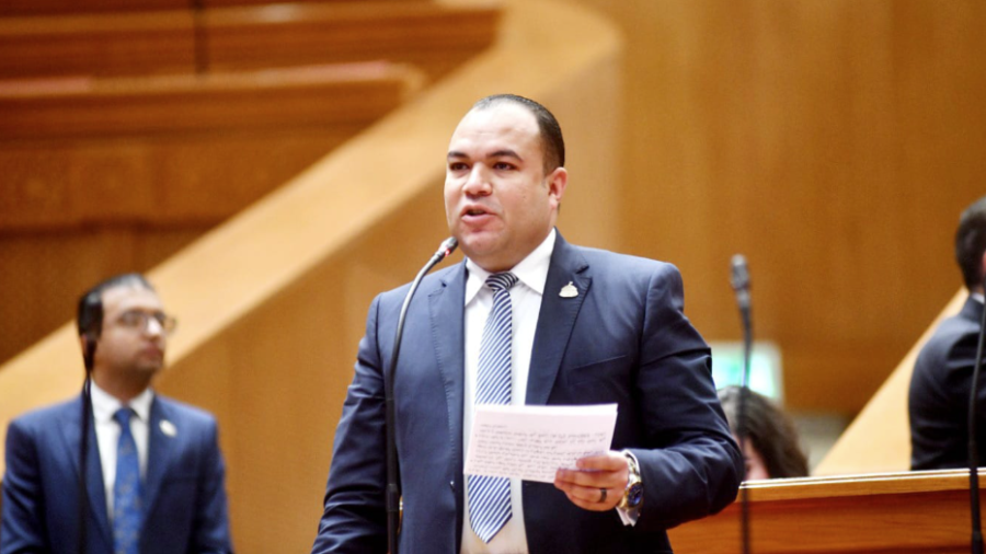 النائب أحمد عصام