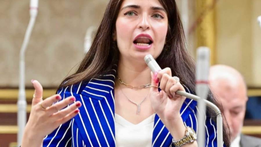 النائبة إيرين سعيد