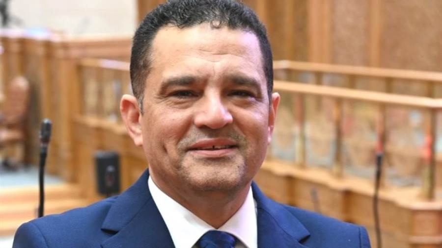 النائب أمير الجزار