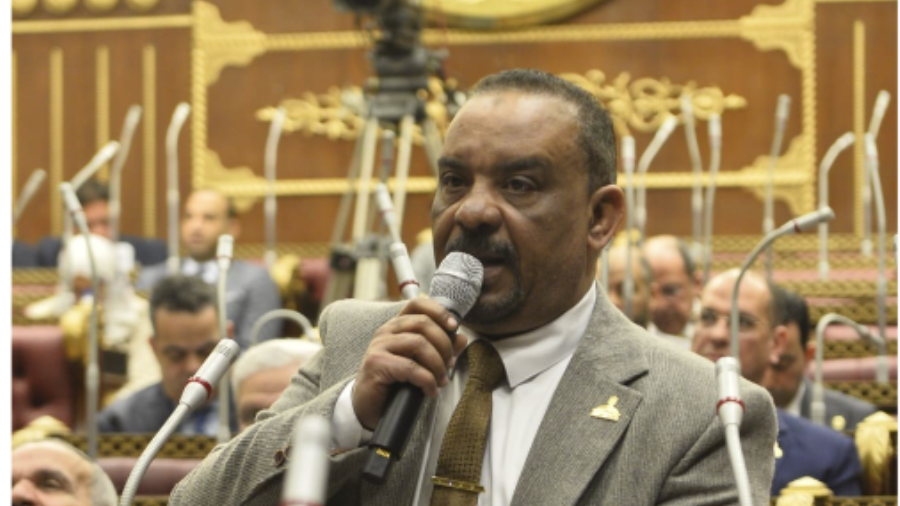 النائب أحمد حافظ