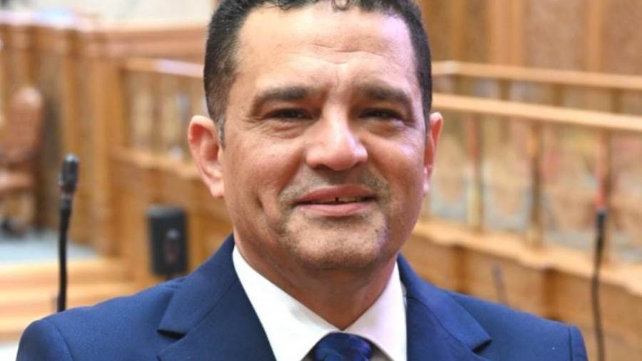 النائب أمير الجزار