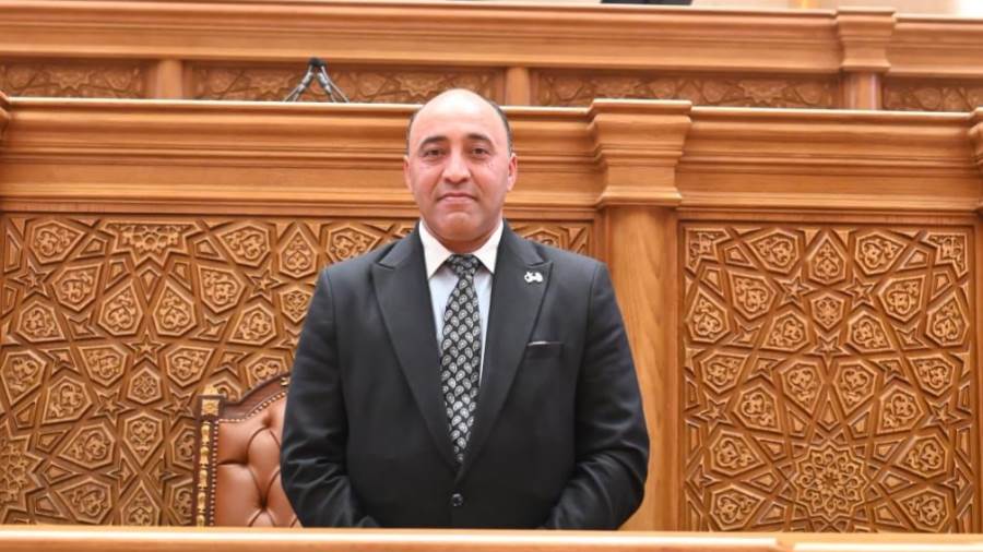 عضو مجلس النواب حسام حسن