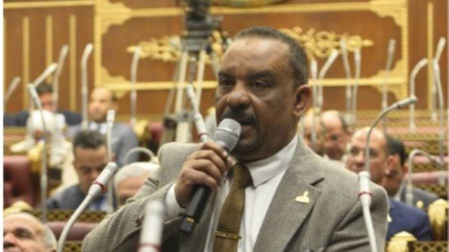 النائب احمد حافظ