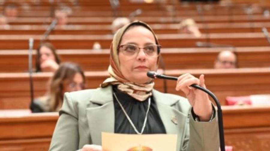 النائبة نجلاء العسيلي