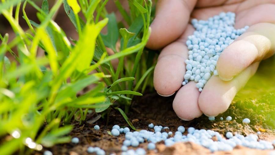 أزمة توزيع الأسمدة المدعمة تحت قبة الشيوخ.. هل ينقذ القانون الجديد الفلاح من محسوبية التكتلات؟