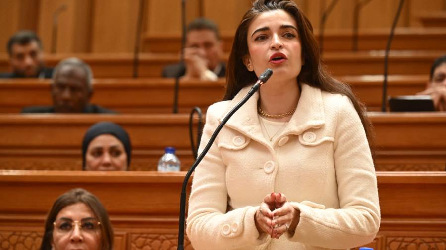 النائبة إيرين سعيد