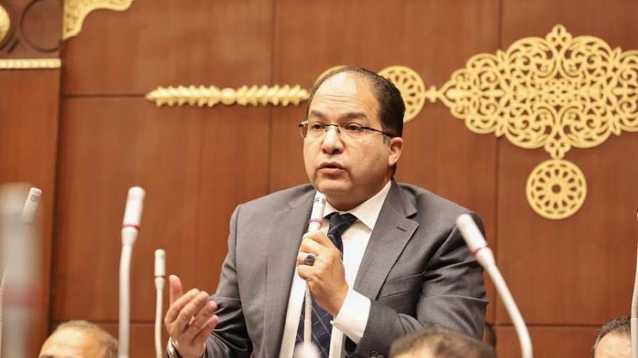 النائب عادل اللمعي