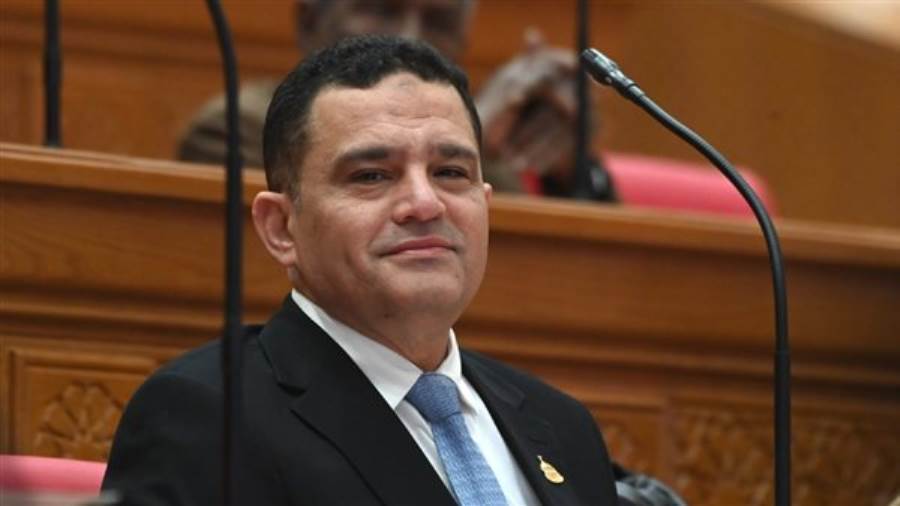 النائب أمير الجزار