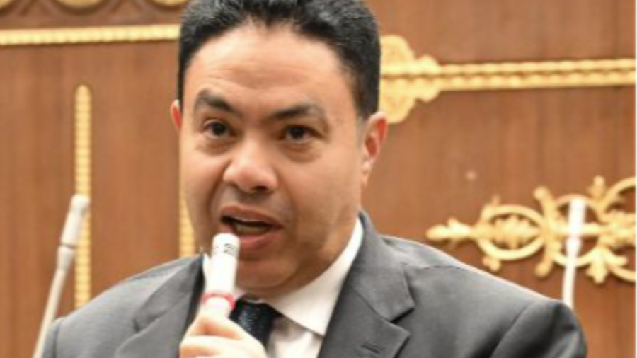 النائب إسماعيل الشرقاوي