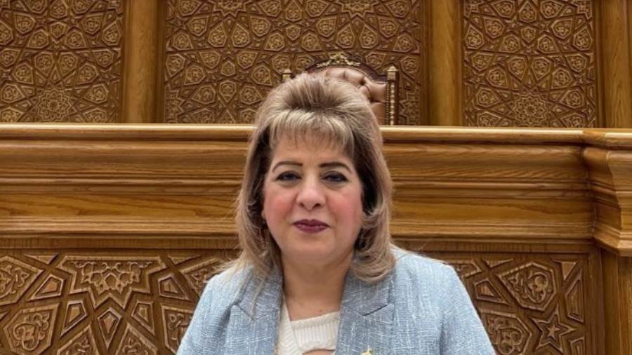 النائبة إيمان أنيس