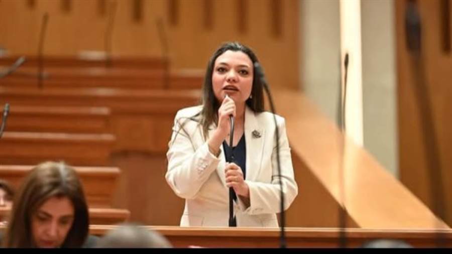 النائبة مي كرم جبر