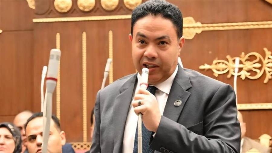 النائب إسماعيل الشرقاوي