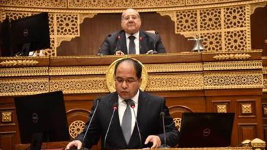 النائب عادل اللمعي