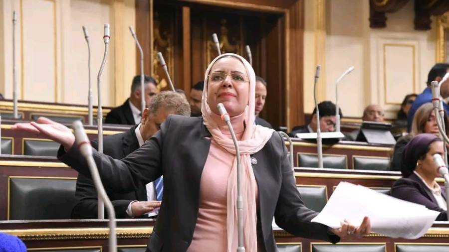 النائبة ريهام عبد النبي