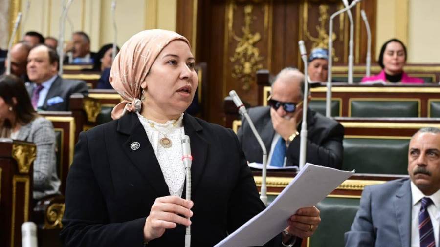 النائبة فايزة عبدالعظيم