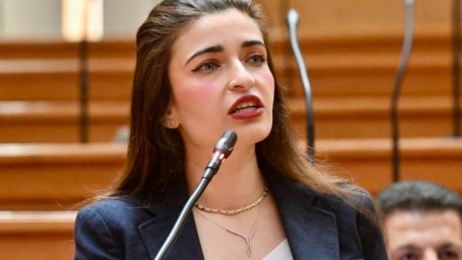 النائبة إيرين سعيد