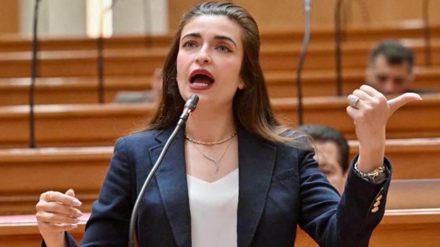 النائبة إيرين سعيد