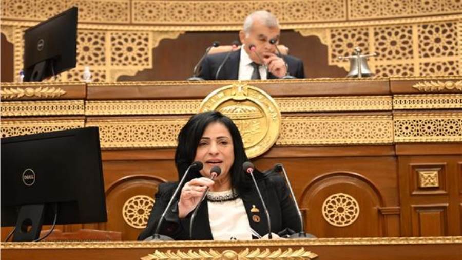 النائبة ميرال جلال الهريدي