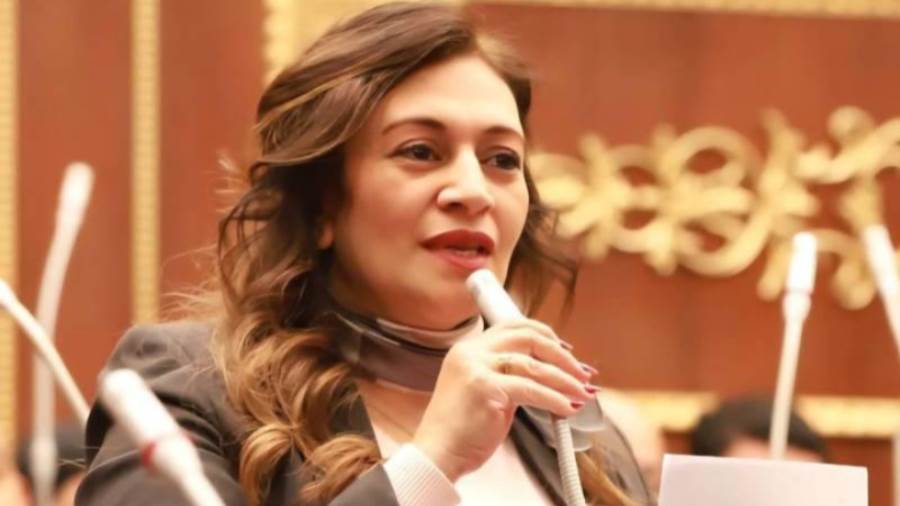 النائبة نيفين فارس