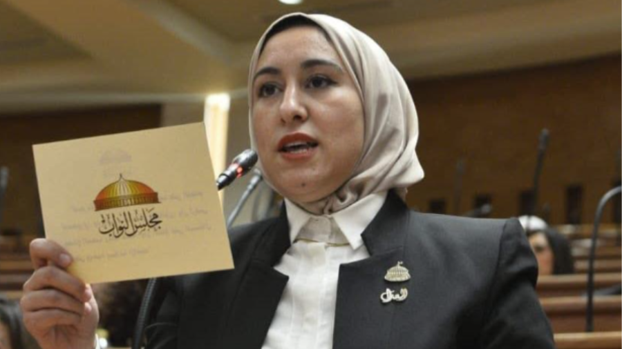 النائبة صافيناز طلعت