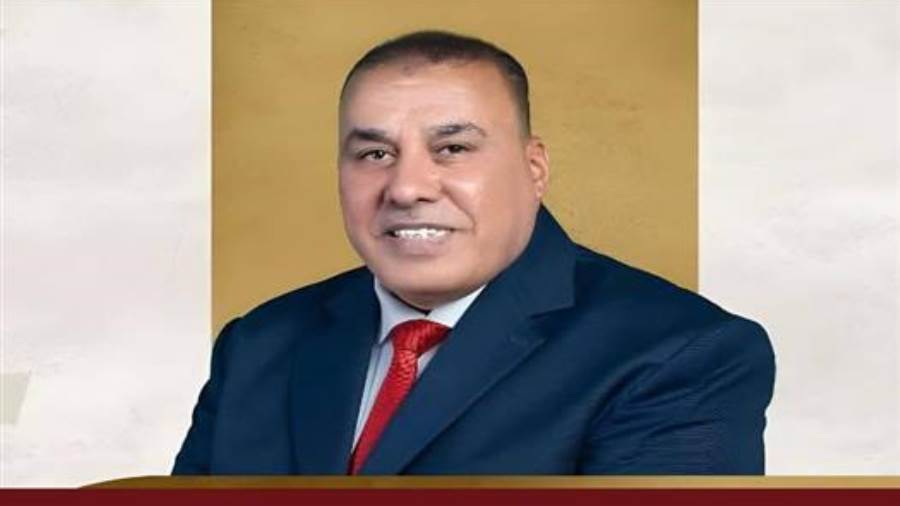 النائب محمد أبو النصر