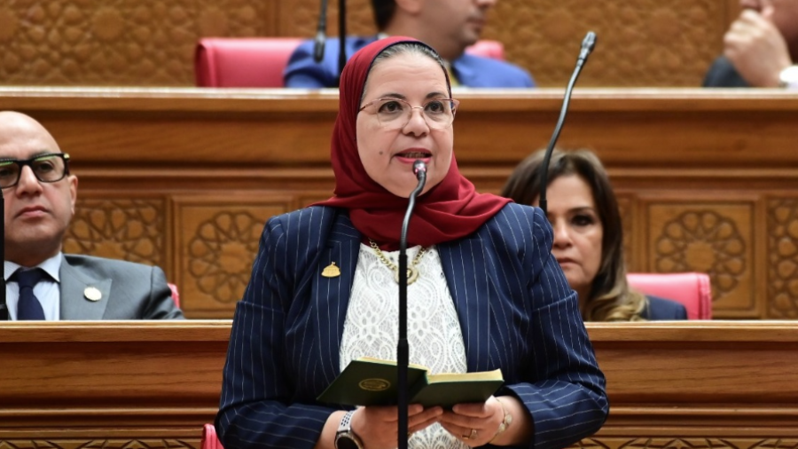 النائبة أمل عصفور