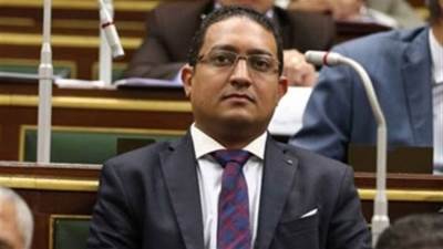 جون طلعت يدعو اتحادات المصريين بالخارج للقيام بدورها في الحشد لانتخابات مجلس الشيوخ