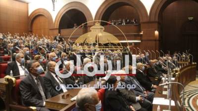 البرلمان ينشر مواد اللجان النوعية الـ14 بعد الموافقة النهائية لمجلس الشيوخ