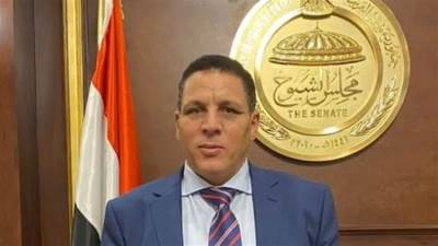 النائب أحمد محسن يثنى على مجهود الدولة لتنفيذها مشروعات قومية تهدف إلى تحقيق الأمن الغذائى