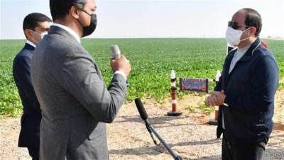 عمرو فهمى: «مستقبل مصر» للإنتاج الزراعى سيعمل على سد الفجوة فى السوق المحلى