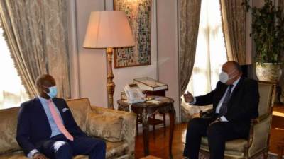 شكري يستقبل السكرتير العام لاتفاقية التجارة الحرة القارية الأفريقية.