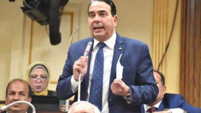 النائب أيمن أبو العلا: "حياة كريمة" خطوة جادة في مسيرة تطور ملف حقوق الإنسان