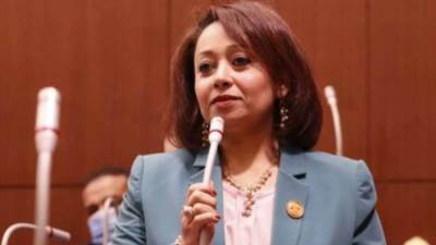 رشا اسحق: بيان حقوق الإنسان لا يتضمن معلومات دقيقة.. ونرفض التدخل فى شؤوننا