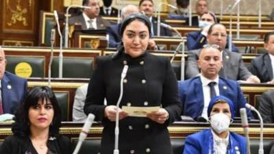 أسماء الجمال:الدولة المصرية نجحت فى تحقيق نهضة تنموية شاملة