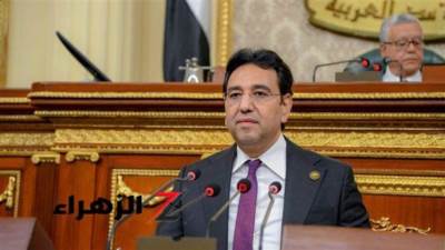 عربية النواب: مصر صامدة أمام محاولات تصفية القضية الفلسطينية ومخطط التهجير